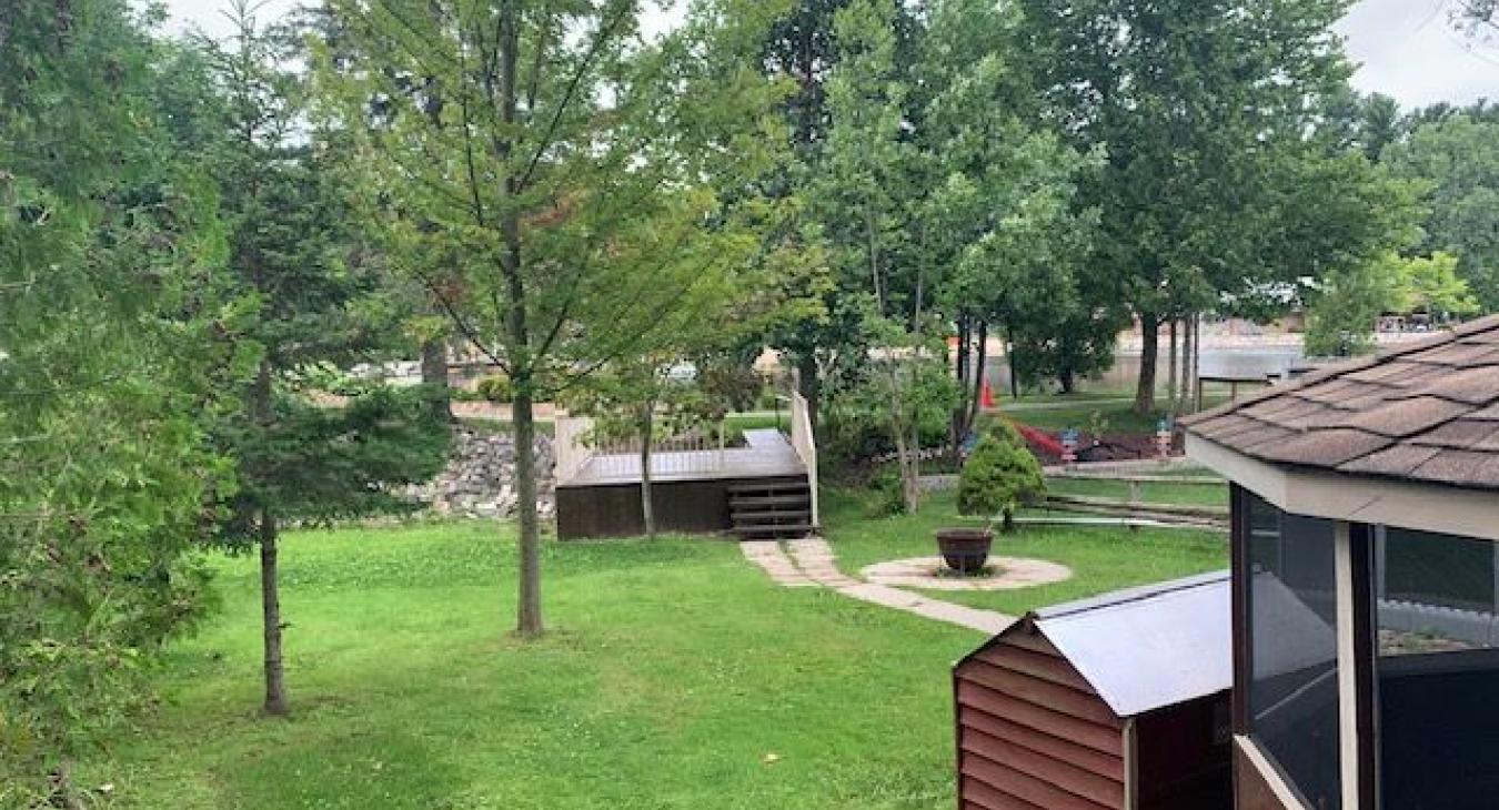 back yard
