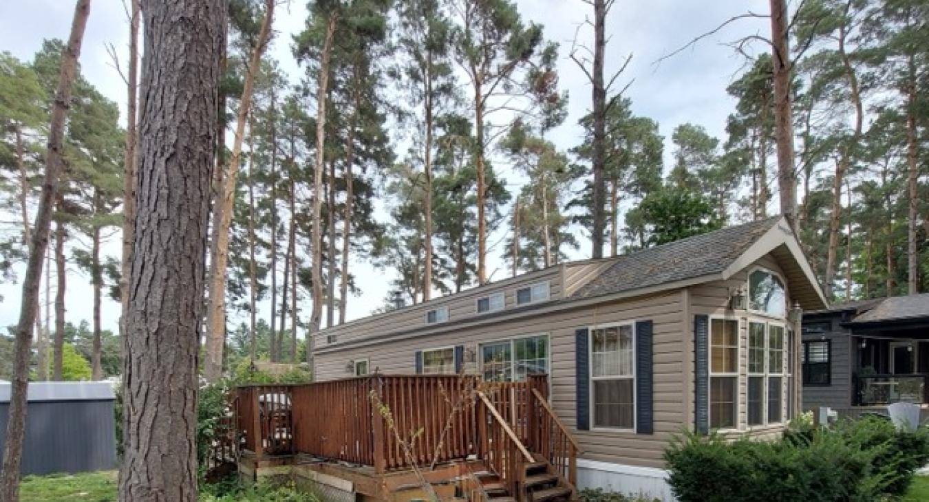 aa